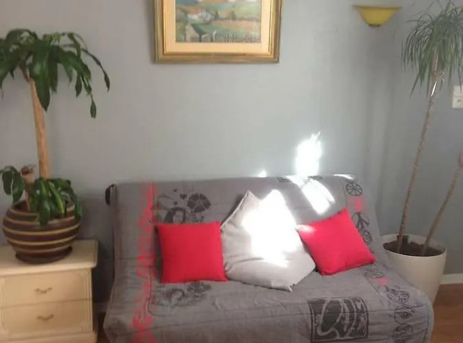 Apartman Petit Douillet Tres Bien Situe